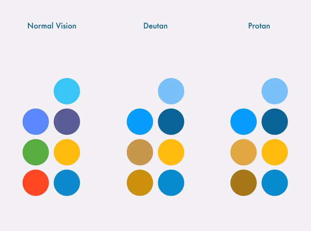 This image shows colors as viewed by a person who can see all colors as they are truly reflected, deutan color blindness and protan color blindness. 