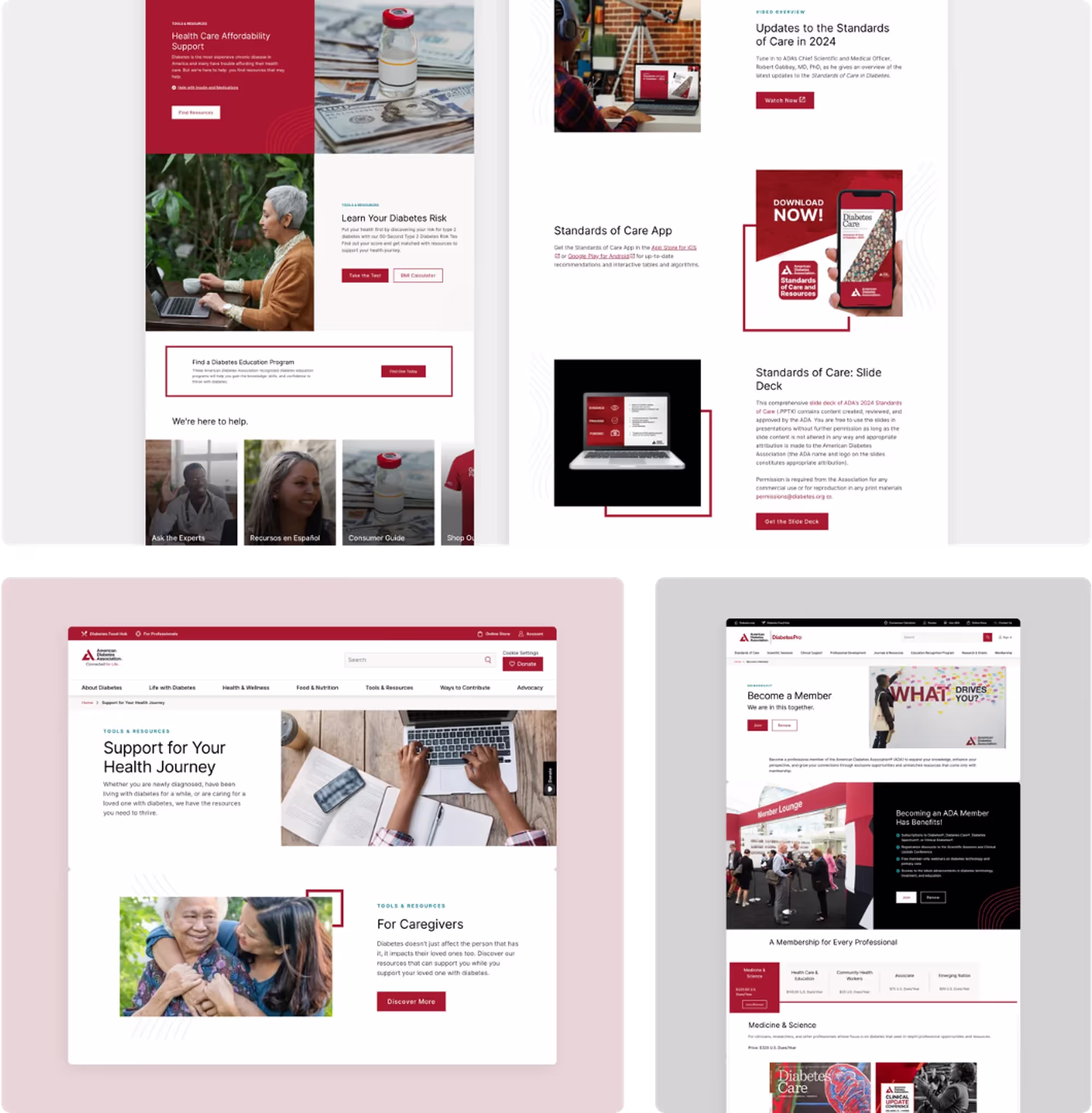  multisite architecture for non-profits enhances the digital presence ensuring top-tier security, performance, and a user-centric experience. 