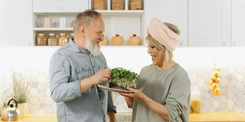 Rebuilding Diabetes Food Hub as one connected nutrition planning experience
