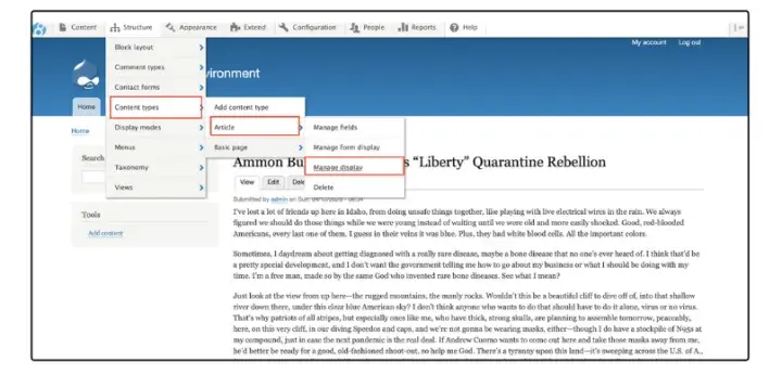 Layout Builder Asset Injector Drupal module