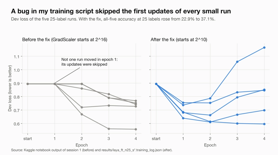 Two line charts of dev loss for the five 25-label runs. Before the fix, with GradScaler starting at 2^16, no run's loss moved in epoch 1. After the fix, starting at 2^10, every run's loss dropped in epoch 1. All-five accuracy at 25 labels rose from 22.9% to 37.1%.