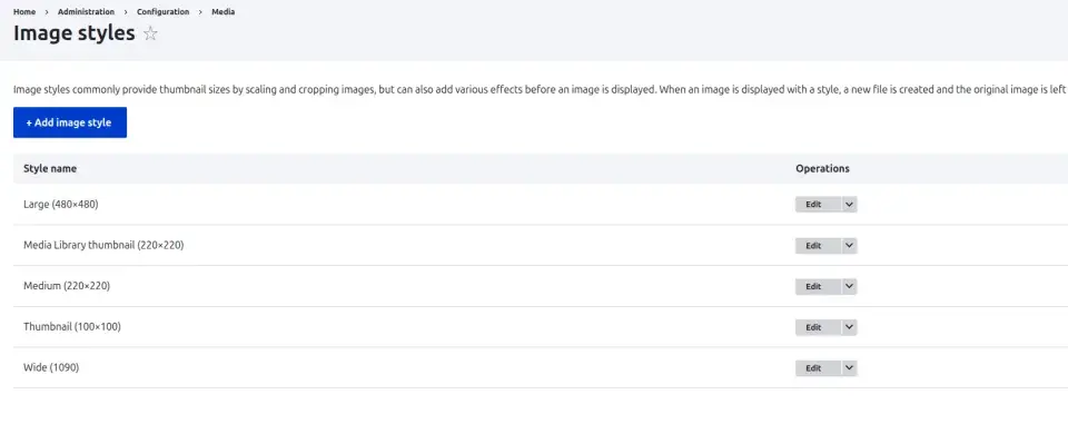 Image Style Rendering Issues